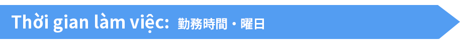 Thời gian làm việc:勤務時間・曜日